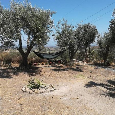 Villa Emma Con Panorama Etna A 10 Minuti Dal Mare Lentini Eksteriør billede