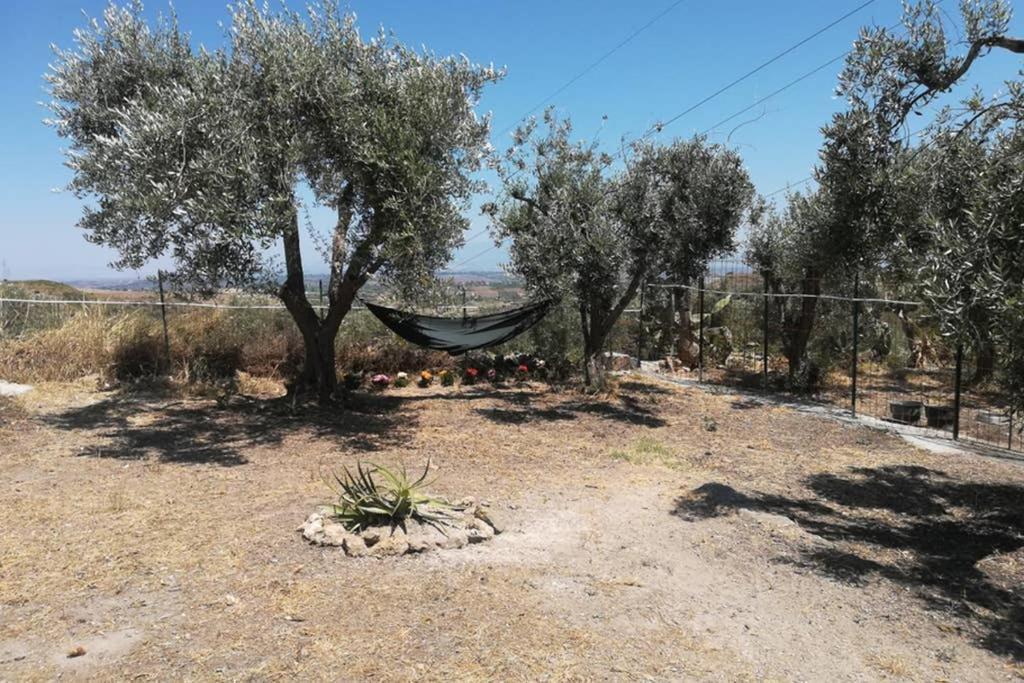 Villa Emma Con Panorama Etna A 10 Minuti Dal Mare Lentini Eksteriør billede